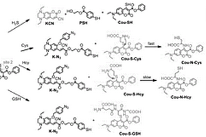 定量區(qū)分檢測(cè)Cys、Hcy、GSH和H<Sub>2</Sub>S的熒光探針及其制備方法和應(yīng)用