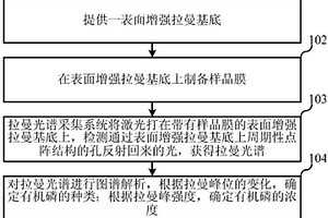 基于表面增強(qiáng)拉曼的有機(jī)磷檢測方法