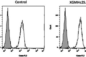 抗人B7-H1單克隆抗體制備方法及其在免疫組化檢測(cè)應(yīng)用