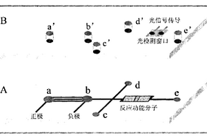 重金屬離子檢測芯片及制備方法