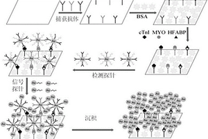 基于雙納米金探針檢測標(biāo)志物的蛋白芯片