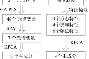 檢測(cè)葉菜類作物冠層水分含量的方法