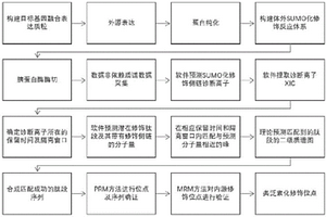 基于高精度質(zhì)譜的蛋白類泛素化修飾位點(diǎn)檢測方法及應(yīng)用