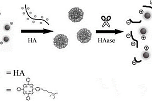 基于自組裝的可檢測透明質酸酶的卟啉衍生物、其制備方法及應用