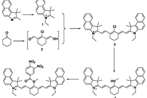 用于檢測谷胱甘肽巰基轉(zhuǎn)移酶熒光分子探針的制備方法和應用