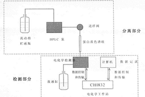 用PVP/CdS量子點(diǎn)修飾電極實(shí)現(xiàn)蛋白質(zhì)分離檢測(cè)的方法