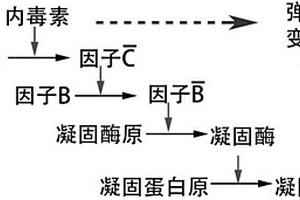 內(nèi)毒素含量的檢測(cè)方法