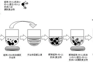 外泌體裂解試劑及外泌體PD-L1蛋白檢測試劑盒