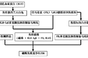 基于免疫磁珠聯(lián)合酶聯(lián)免疫吸附試驗(yàn)檢測伏馬毒素的方法