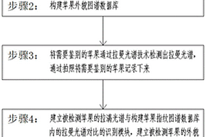 基于拉曼光譜技術(shù)與化學(xué)計(jì)量法的蘋(píng)果身份識(shí)別方法