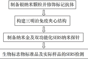 基于表面增強(qiáng)拉曼光譜的無酶信號放大生物標(biāo)志物檢測方法