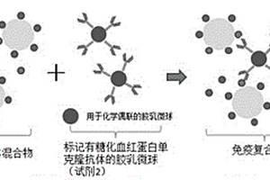 雙試劑糖化血紅蛋白檢測試劑盒