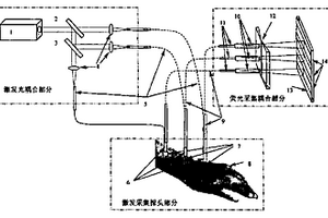 空間多通道激光誘導(dǎo)熒光同步檢測的光纖耦合裝置