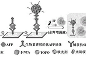 溶解增強(qiáng)長余輝發(fā)光檢測方法