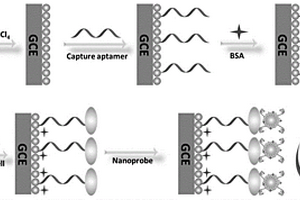 無酶電化學適體細胞傳感器、制備方法及應用
