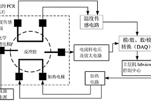 非接觸式電導(dǎo)法實(shí)現(xiàn)PCR反應(yīng)過程的實(shí)時(shí)檢測(cè)系統(tǒng)和方法