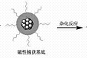 高靈敏檢測(cè)t-DNA的SERS液相芯片方法