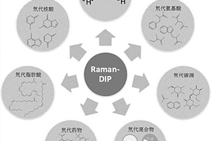 原位快速檢測(cè)細(xì)胞生物過程的方法