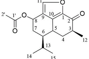 五指山參中一種新倍半萜醌類化合物及其制備方法和應(yīng)用