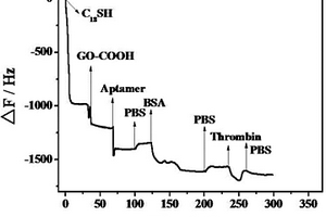 基于核酸適體的生物傳感器、制備方法及應(yīng)用