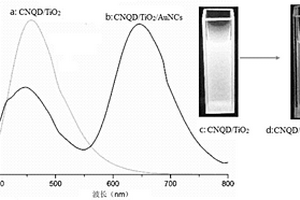 比率型CNQDs/TiO<sub>2</sub>/AuNCs復(fù)合熒光微球的制備方法及其應(yīng)用