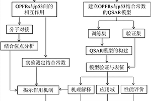 預(yù)測(cè)生物標(biāo)志物p53與有機(jī)磷酸酯阻燃劑相互作用親和力的方法