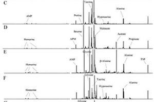 基于定量核磁共振代謝組學區(qū)分不同產(chǎn)地牡蠣的方法
