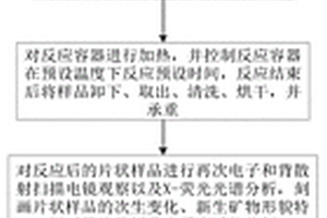 用于流體巖石相互作用試驗的方法