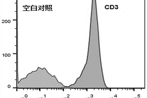 抗CD3重組兔單克隆抗體及其應(yīng)用