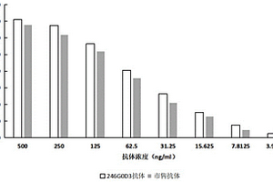 抗HER2重組兔單克隆抗體及其應(yīng)用