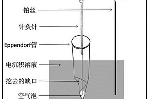 多參數(shù)高通量SERS活性微針的制備方法及活性微針