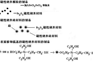 表面修飾巰基的磁性納米材料及其制備方法和應用