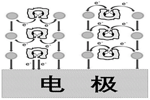 植入式葡萄糖生物傳感器及其制備方法