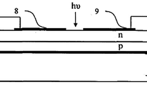 pn結(jié)MgxZn1-xO薄膜日盲區(qū)紫外探測(cè)器件