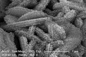 基于氧化錫?鉬酸鎳制備納米棒狀電極材料的方法