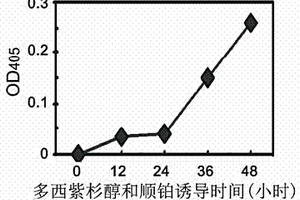 以DNA聚合酶δ為靶標(biāo)篩選化療藥物及藥效的方法