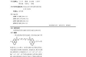 雙芘兩親型熒光探針及其合成方法和應用