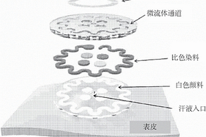 用于生物流體的表皮表征的設(shè)備和相關(guān)方法