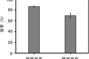 可逆組裝和分解的Strep-tag多肽標(biāo)記的生物分子衍生化基質(zhì)及其應(yīng)用