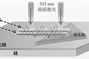 表面增強(qiáng)拉曼散射基底及制備方法