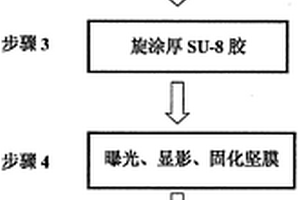 集成有微流控系統(tǒng)的光學(xué)微納生物傳感器的制作方法