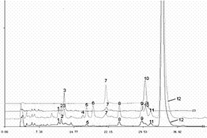 用干姜、穿山龍、雞血藤制成的治療風(fēng)濕痹痛藥的HPLC特征圖譜的構(gòu)建方法