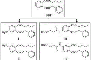 兩組鄰苯二甲酸丁芐酯半抗原的合成方法
