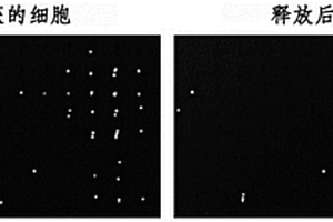 胎兒細(xì)胞捕獲模塊、用于胎兒細(xì)胞捕獲的微流控芯片，及它們的使用方法