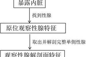 卵形鯧鲹早期性別判定的方法