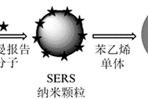 以聚苯乙烯為包裹殼層材料的表面增強(qiáng)拉曼散射納米探針及其制備方法