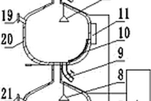 華支睪吸蟲成蟲染色標(biāo)本制作裝置