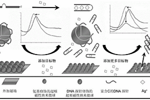核酸修飾的超順磁性光子晶體傳感材料、制備方法和應(yīng)用
