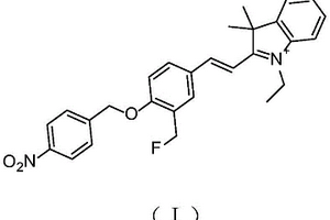 自固定型小分子熒光探針及其制備方法與應(yīng)用