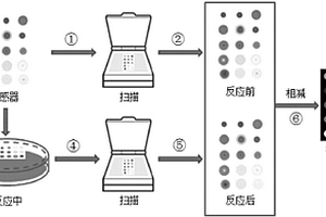 基于嗅覺成像傳感技術(shù)的黃酒酒齡鑒別方法和鑒別系統(tǒng)